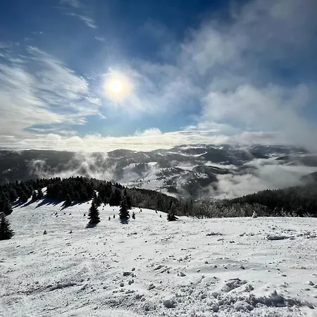 Pod Holou, Tatran-donovaly * Donovaly