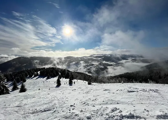 Pod Hoľou, Tatran-donovaly * Donovaly